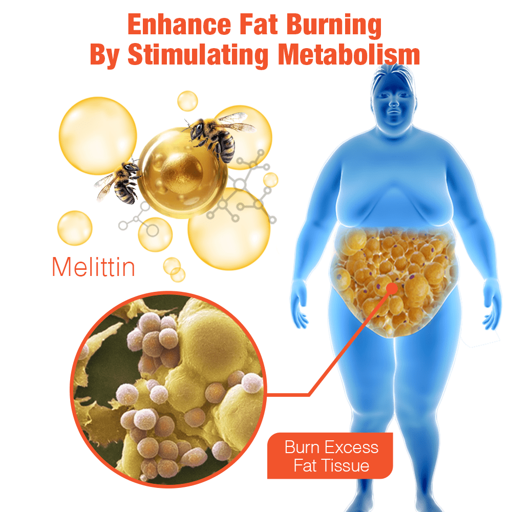 GFOUK™ HexaBurn Bee Venom Toning Spray 🌏